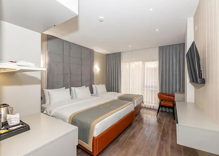 Tumar Hotel Istanboel